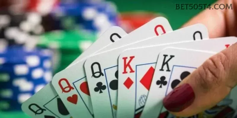 bet505 multi dispositivo